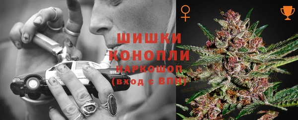 герыч Болотное