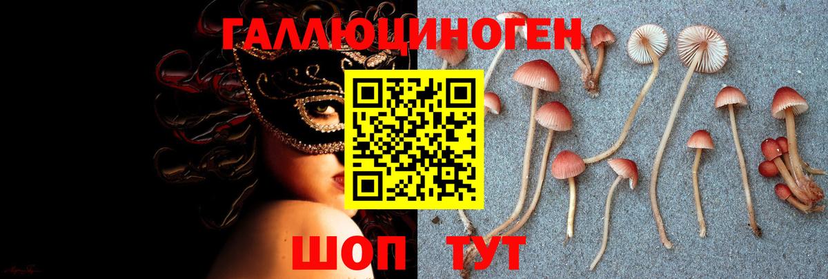 Галлюциногенные грибы Magic Shrooms Грязи