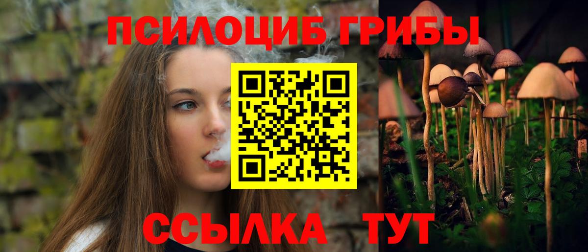 Галлюциногенные грибы GOLDEN TEACHER  Галлюциногенные грибы мицелий  Вход с VPN  что такое   Грязи 