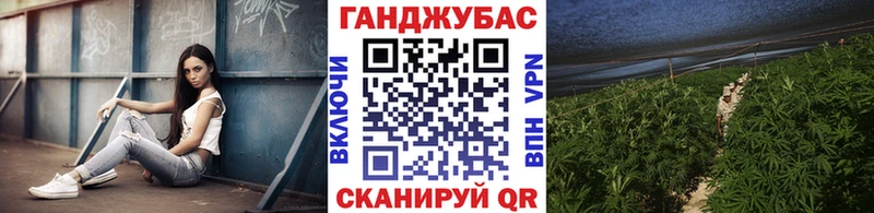 KRAKEN ССЫЛКА  Грязи  МАРИХУАНА ГИДРОПОН 